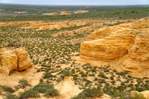 Cretaceous Formations