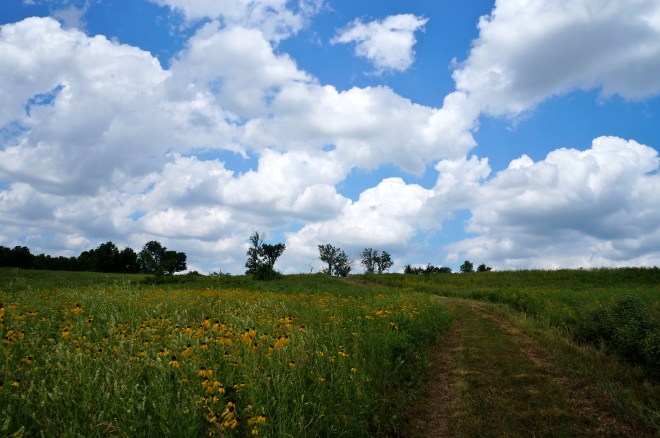 1 Olathe Prairie Center Photo by Kristin Conard copy