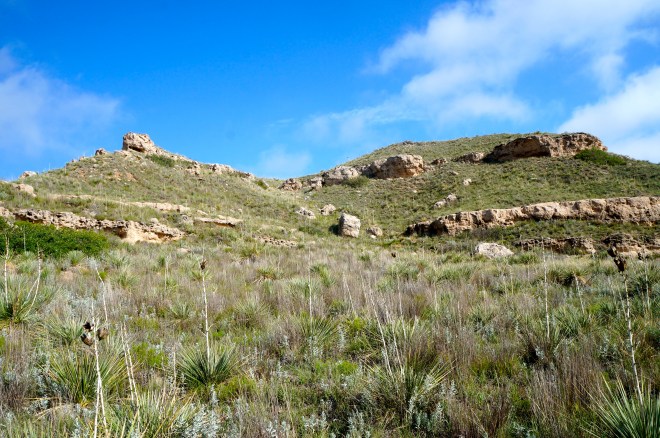 Bluffs at Lake Scott State Park
