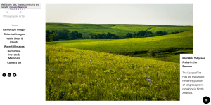 Screen shot from David Welfelt's page