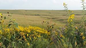 14333639_10154485147534547_2785065765529463476_n